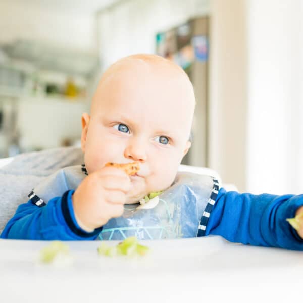 Baby boy eating bread and cucumber with BLW method, baby led weaning. Seriosu vegetarian kid eating lunch. Child eat himself, self-feeding.